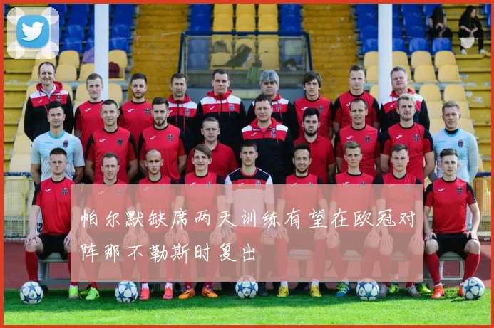 帕尔默缺席两天训练有望在欧冠对阵那不勒斯时复出